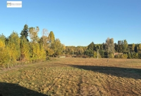 San Andrés del Rabanedo 12000&nbsp;m² 