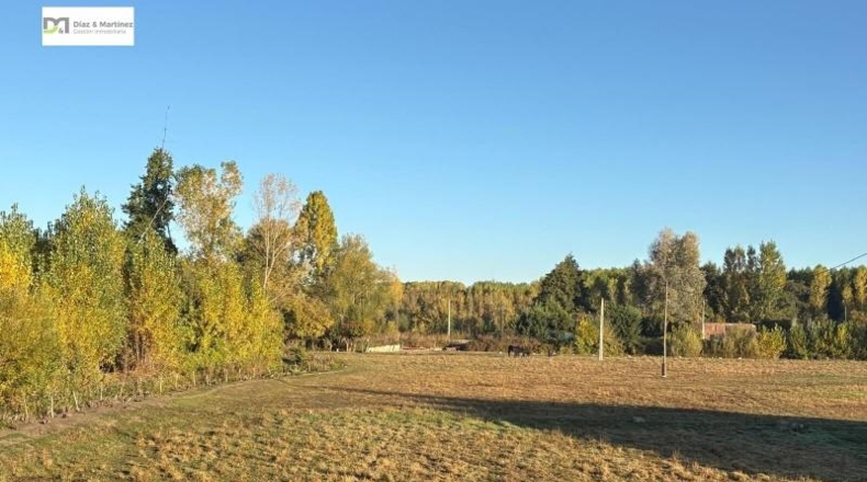 León - San Andrés del Rabanedo - 12000m2