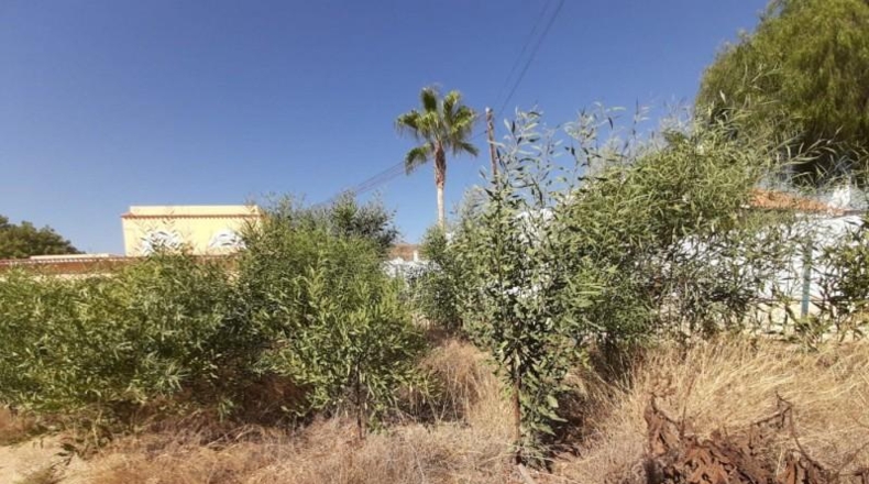 Almeria - Mojácar - 2000m2