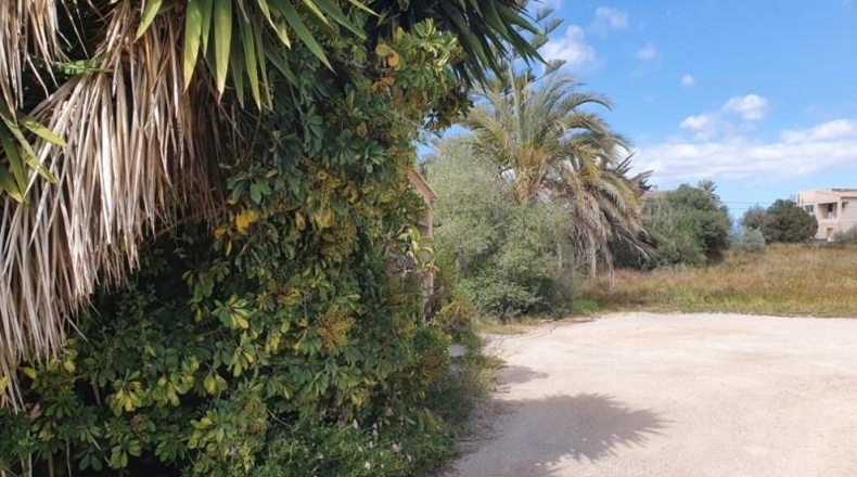 Balearic Islands - Las Salinas - 509m2