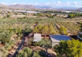 Casa de camp amb terreny en venda a la España, Elx, ref.: TR174979 foto