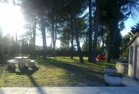 Foto 9