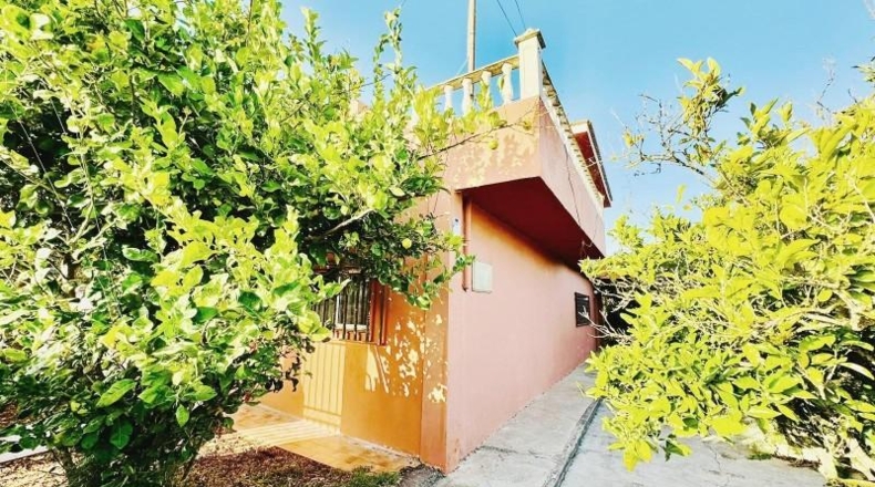 Santa Cruz de Tenerife - San Cristóbal de La Laguna - 1300m2