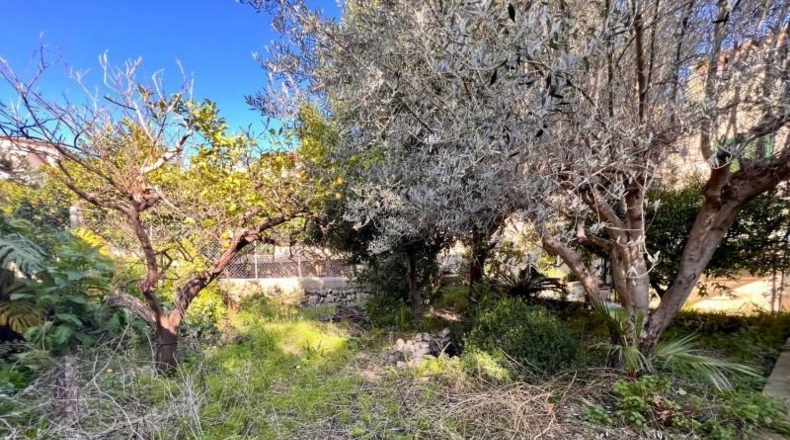 Illes Balears - Selva - 273m2