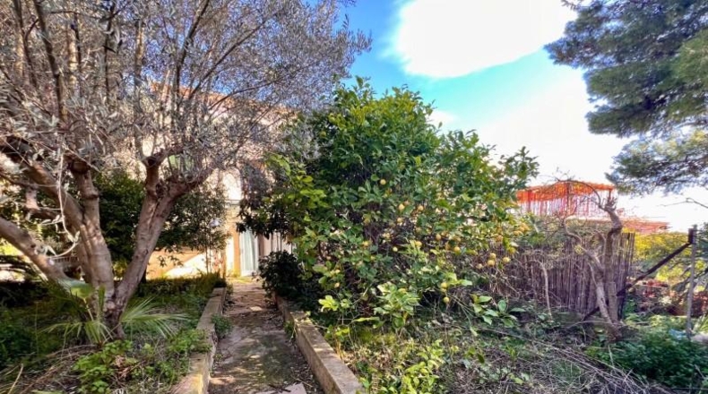 Illes Balears - Selva - 273m2