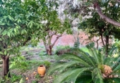 Casa de poble en venda a la España, Selva, ref.: TR381680 foto