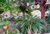 Casa de poble en venda a la España, Selva, ref.: TR381680 foto