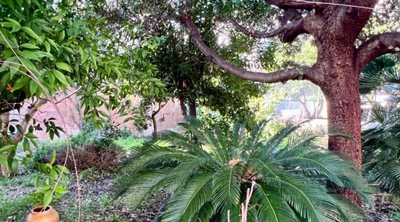 Illes Balears - Selva - 273m2