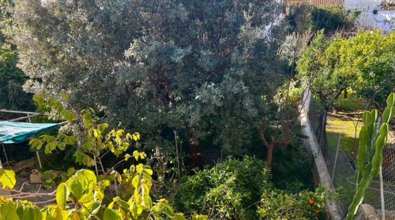 Illes Balears - Selva - 273m2