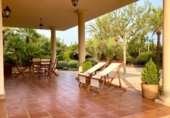 Xalet independent amb terreny en venda a la España, Elx, ref.: TR149974 foto