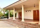 Xalet independent amb terreny en venda a la España, Elx, ref.: TR149974 foto
