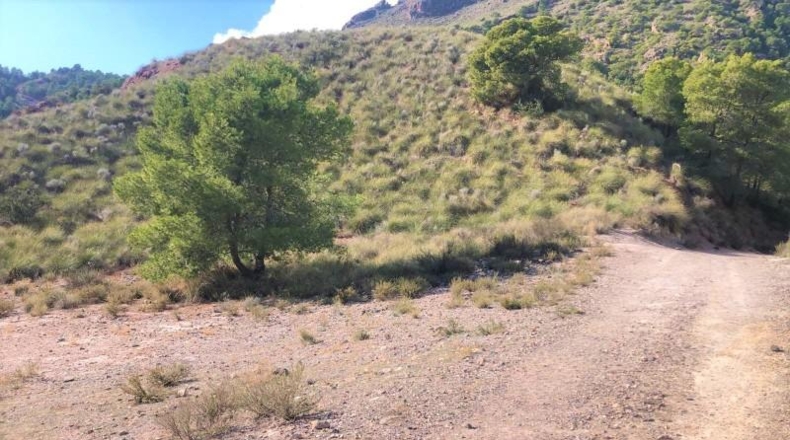Murcia - Lorca - 999999m2