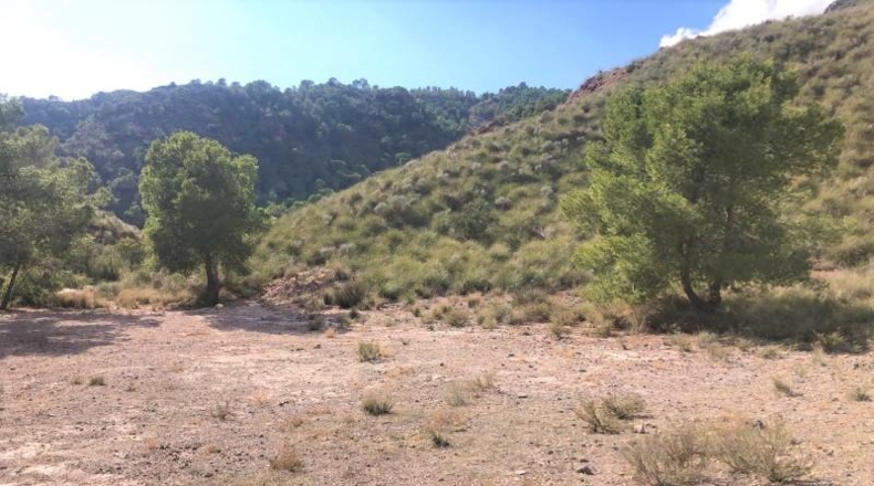 Murcia - Lorca - 999999m2