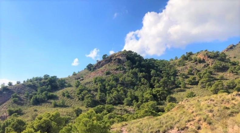 Murcia - Lorca - 999999m2