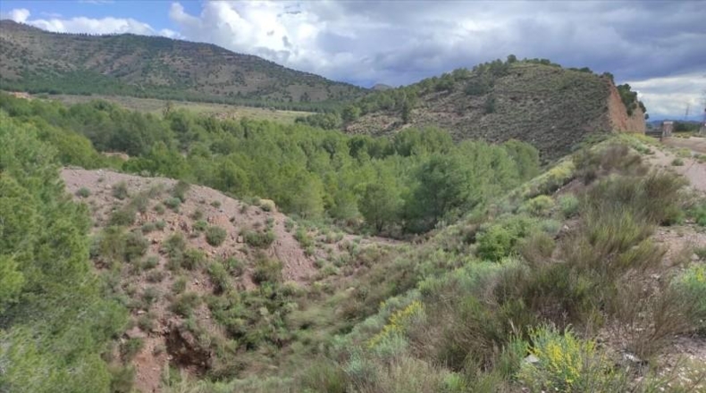 Murcia - Lorca - 999999m2