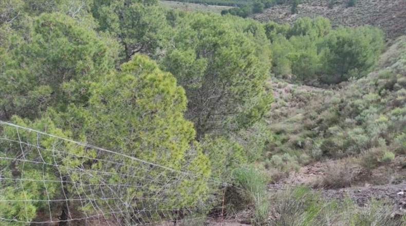 Murcia - Lorca - 999999m2