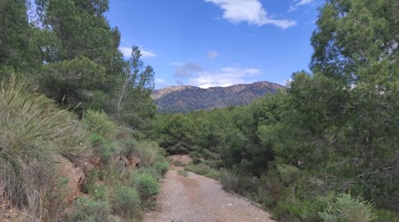 Murcia - Lorca - 999999m2