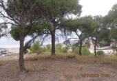 Terreny no urbanitzable en venda a la España, Monòver, ref.: TR122092 foto