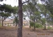 Terreny no urbanitzable en venda a la España, Monòver, ref.: TR122092 foto