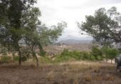 Terreny no urbanitzable en venda a la España, Monòver, ref.: TR122092 foto