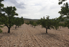 Montealegre del Castillo 675000&nbsp;м²