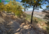 Casa de camp amb terreny en venda a la España, Güéjar Sierra, ref.: TR345732 foto