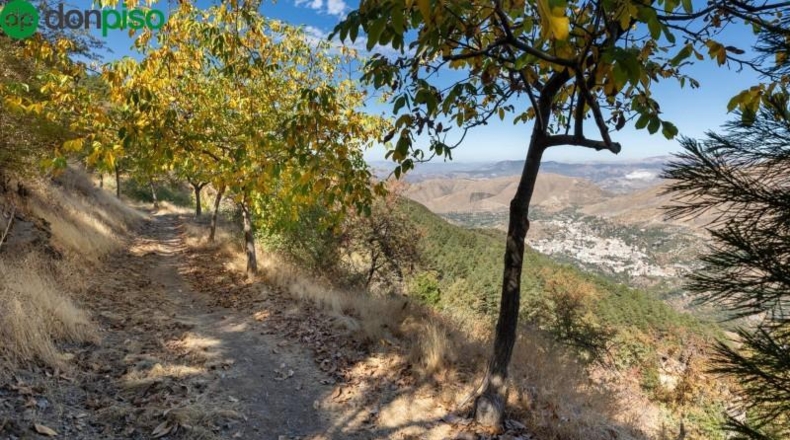 Granada - Güéjar Sierra - 1739m2