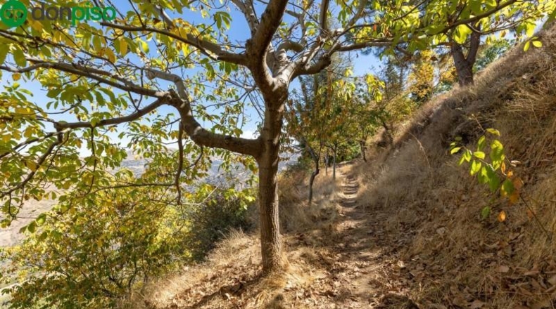 Granada - Güéjar Sierra - 1739m2