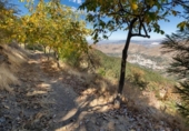 Casa de camp amb terreny en venda a la España, Güéjar Sierra, ref.: TR346376 foto