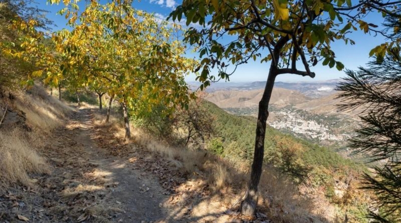 Granada - Güéjar Sierra - 1739m2