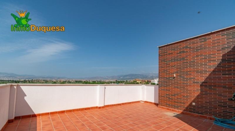 Granada - Alhendín - 444m2