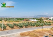Chalet independiente con terreno en venta en la España, Alhendín, ref: TR263934 foto