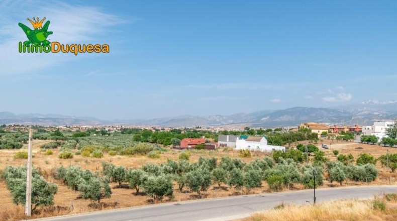 Granada - Alhendín - 444m2