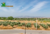 Chalet independiente con terreno en venta en la España, Alhendín, ref: TR263934 foto