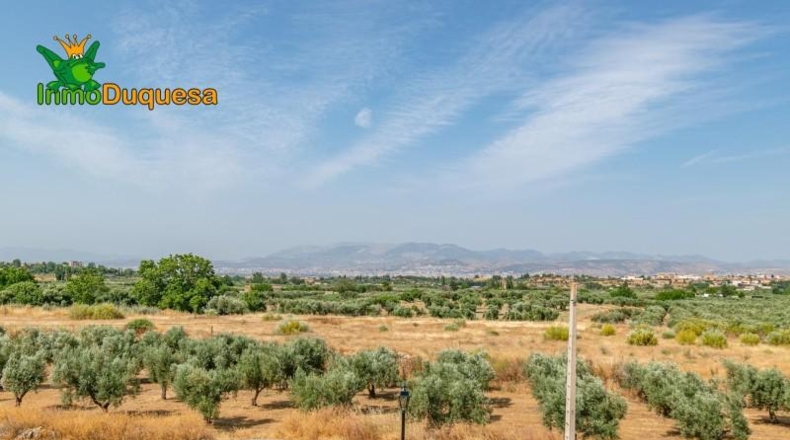 Granada - Alhendín - 444m2