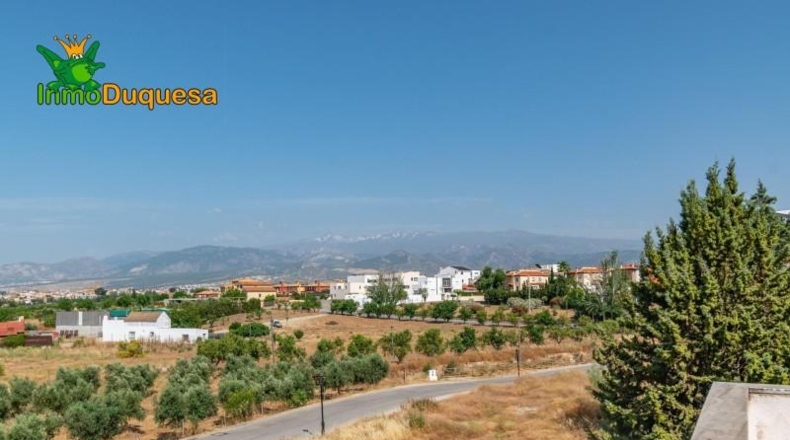 Granada - Alhendín - 444m2