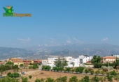 Chalet independiente con terreno en venta en la España, Alhendín, ref: TR263934 foto