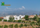 Chalet independiente con terreno en venta en la España, Alhendín, ref: TR263934 foto