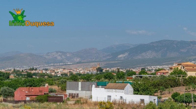 Granada - Alhendín - 444m2