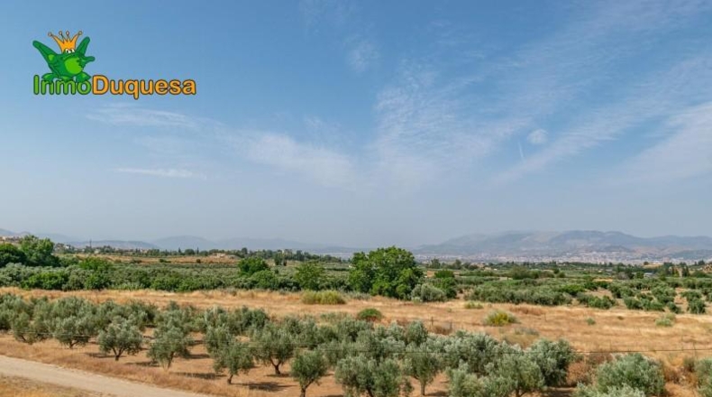 Granada - Alhendín - 444m2
