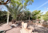 Chalet independiente con terreno en venta en la España, Totana, ref: TR149328 foto