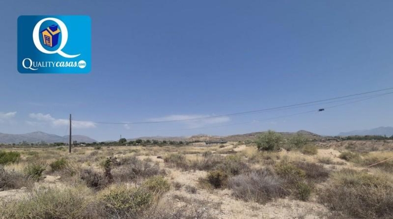 Alicante - San Vicente del Raspeig - 25000m2