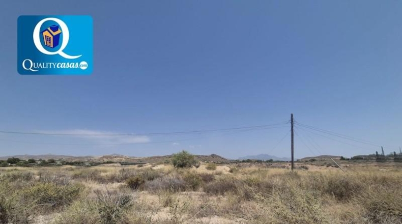 Alicante - San Vicente del Raspeig - 25000m2
