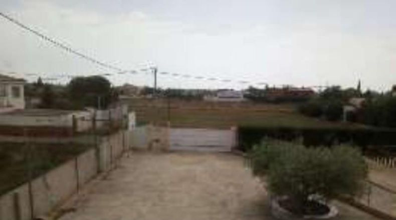 Castellón - Benicarló - 1500m2