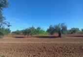 Terreno no urbanizable en venta en la España, Corte de Peleas, ref: TR129340 foto