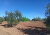 Terreno no urbanizable en venta en la España, Corte de Peleas, ref: TR129340 foto