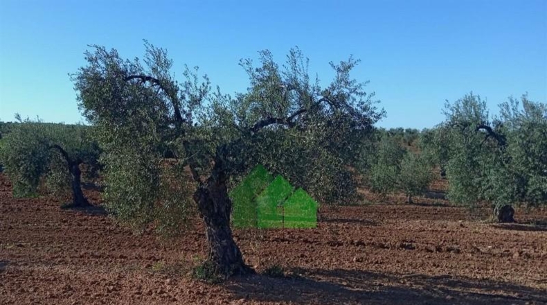 Badajoz - Corte de Peleas - 771244m2