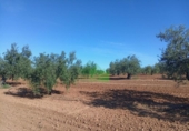 Terreno no urbanizable en venta en la España, Corte de Peleas, ref: TR129340 foto