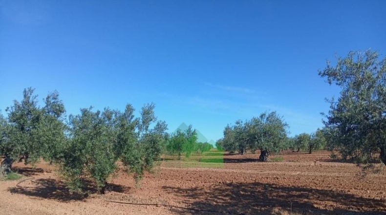 Badajoz - Corte de Peleas - 771244m2