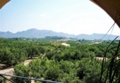 Xalet independent amb terreny en venda a la España, Alfauir, ref.: TR153900 foto
